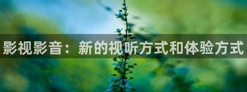 大地资源在线影视免费观看