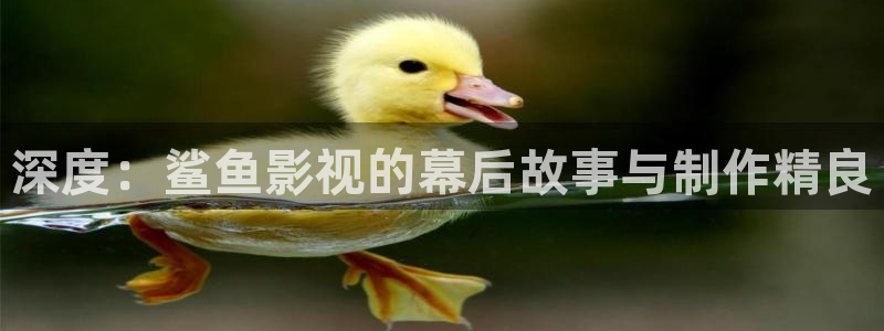 新乡大地影院：深度：鲨鱼影视的幕后故事与制作精良