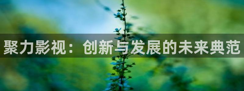 无锡大地电影院：聚力影视：创新与发展的未来典范