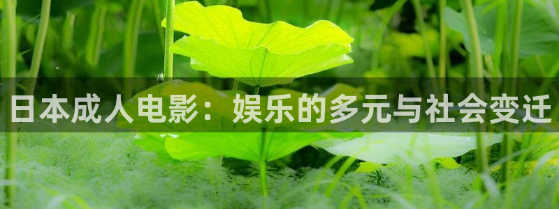 大地影院樱花动漫免费观看