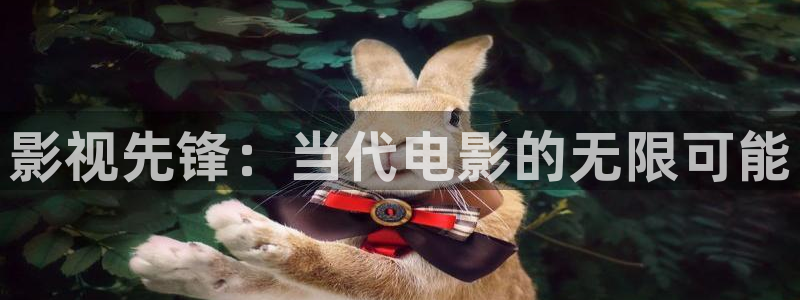 大地电影高清在线观看