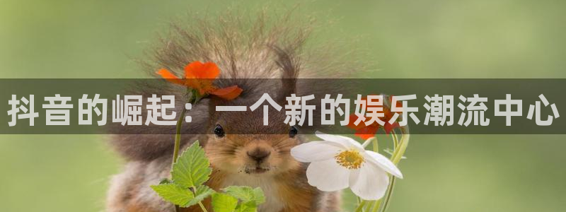 大地完整版电影