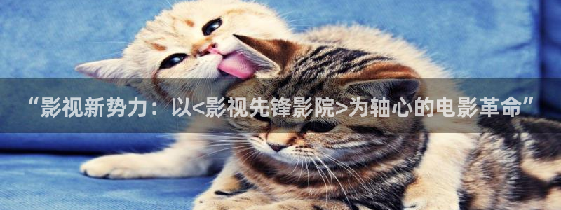 大地影院资源在线：“影视新势力：以<影视先锋影院>为轴心的电影革命”