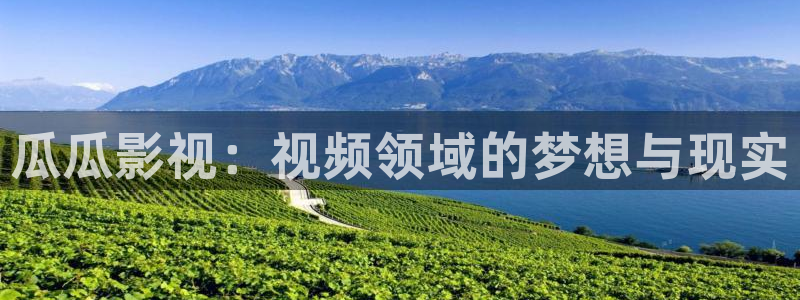 大连大地影院：瓜瓜影视：视频领域的梦想与现实
