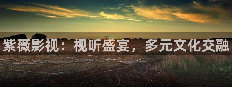 漯河大地影院：紫薇影视：视听盛宴，多元文化交融