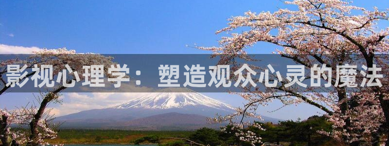 大地电影资源第二页9：影视心理学：塑造观众心灵的魔法