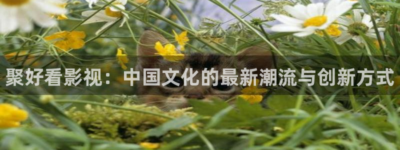 大地影院mv高清在线观看中国：聚好看影视：中国文化的最新潮流与创新方式